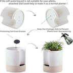 Nihow Self Watering Plant Pot: 8 Inch Ceramic Planter - Image 4