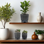 Set of 6 Self Watering Plant Pot 3 Sizes Plastic Double Layer Self Watering - Image 6