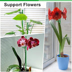 Plant Stakes 17 inch SupKing Support Stick Orchid Stakes - Image 7