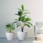 10/9/8 inch Medium Self Watering Pots, Plant Pots - Image 7