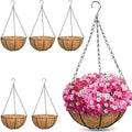 ZeeDix 6 Pack 14 Inch Metal Round Hanging Planter Basket by ZeeDix