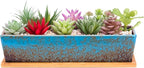 ARTKETTY Succulent Pots by ARTKETTY
