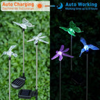 Solar Pathway Lights - Image 2