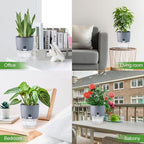 6 Inch Self Watering Pots for Indoor Plants, 6 Pack Grey Plastic Flower Pots - Image 7