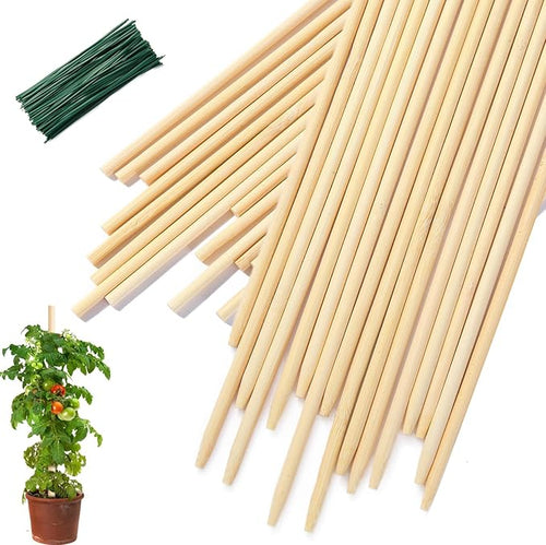 40 PCS Bamboo Plant Stakes 18 Inch, Wood Plant Support by CJFocus