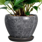 Ceramic Planter by Ceramicfor