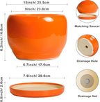 SQOWL Ceramic Planter - Image 3