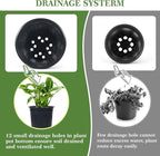 100Pcs 1 Gallon Black Nursery Pots, Soft Plastic Seedling Plant Pot - Image 4