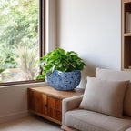 10 Inch Plant Pot - Image 7