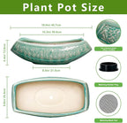 Bonsai Tree Pot - Image 2