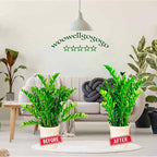 10-Pack Half Round Snake Plant Support Stakes, Plant Support Ring - Image 4