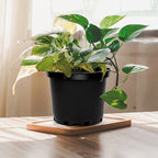GREANER 2 Gallon Nursery Pots for Plants - Image 7
