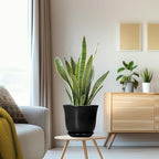 8 Inch Plant Pot - Image 5