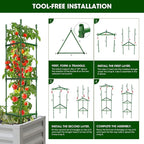 6 Pack Tomato Cages for Garden, Heavy Duty Adjustable Tomato Stake Support for - Image 6