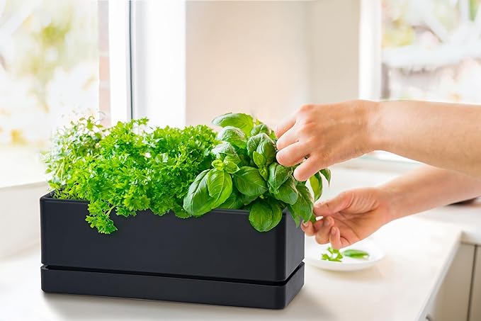 D'vine Dev 12 Inch Window Box Planter, Rectangle Plastic Herb Planter - Image 7