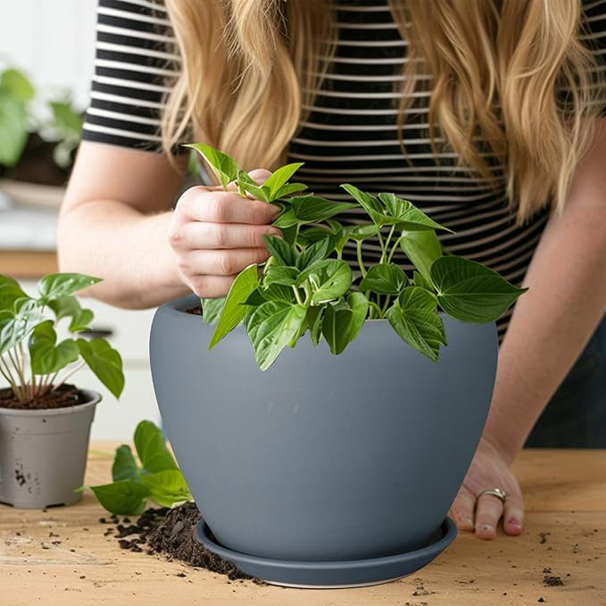 Ceramic Pot for Plants - Image 4