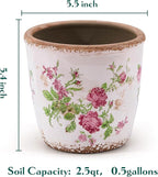 Vintage Ceramic Planter with Drainage Hole, Plastic Tray & Mesh, 5.5 Inch - Image 5