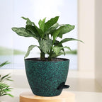 12 inch Large Self Watering Pots - Image 6