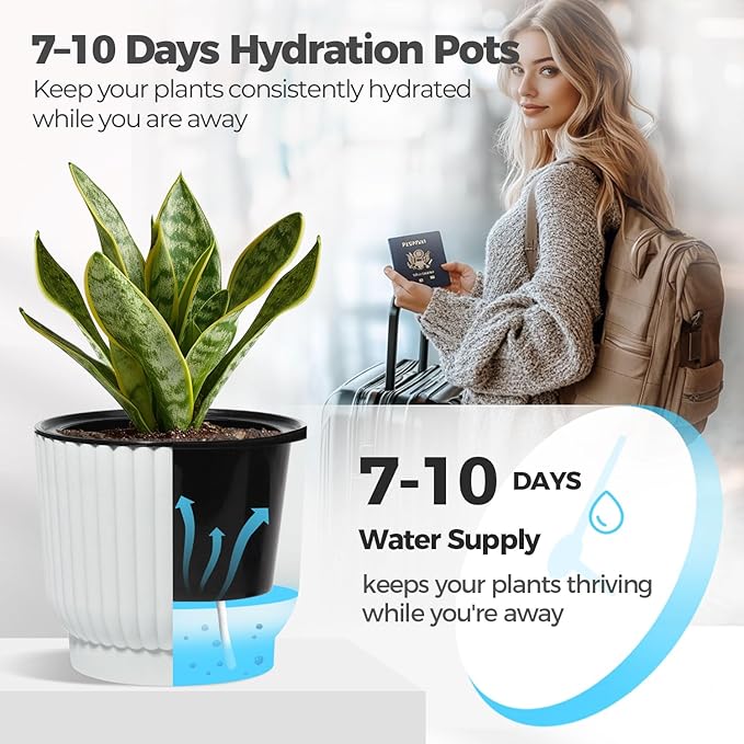 T4U 6 Inch Self Watering Pots for Indoor Plants, 6 Pack Plant Pots, Self - Image 4