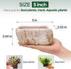T4U 5.5 Inch Ceramic Succulent Pot Planter - Image 2