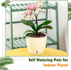 Self Watering Pots for Indoor Plants, Small African Violet Pots - Image 6