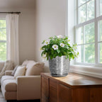 Ceramic Pots for Plants - Image 6
