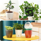 Self Watering Pots for Indoor Plants, Small African Violet Pots - Image 9