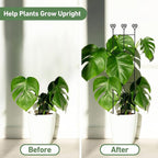 32in Large Indoor Plant Trellis - Image 3