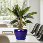 6 Inch Plant Pot - Image 7