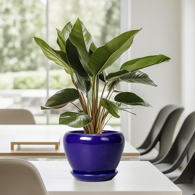 6 Inch Plant Pot - Image 7