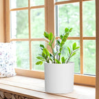 8 Inch Cylinder Plant Pots for Indoor Outdoor Plants, Medium Deep Flower Pots - Image 4