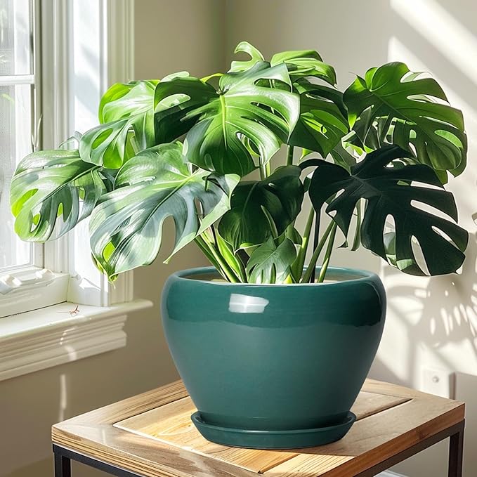 Ceramic Planter for Indoor Plants 10 Inch - Image 6