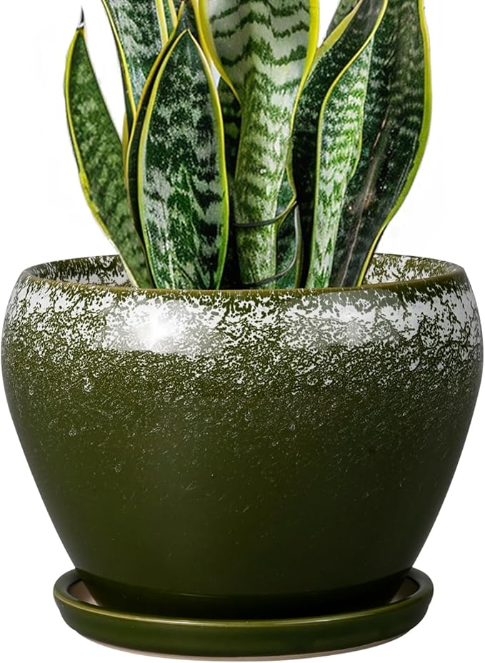 8 Inch Plant Pot by Ceramicfor