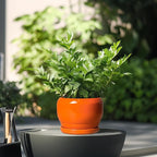 SQOWL Ceramic Plants Pots - Image 4