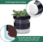 Phoenix Vine 4 Inch Self Watering Planter Pot - Image 5