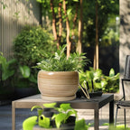 SQOWL Ceramic Plant Pot - Image 5