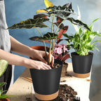 GARDIFE Plant Pots 7/6.5/6/5.5/5 Inch Self Watering Planters - Image 6