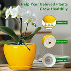 Ceramic Pot for Plants - Image 5