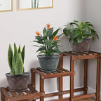 11 inch Plant Pot Set of 3, Plastic Flower Pots - Image 3