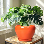 Ceramic Pot for Plants - Image 6