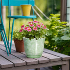 Ceramic Plant Pots - Image 4