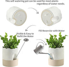 Nihow Self Watering Plant Pot: 6 Inch Ceramic Planter - Image 3