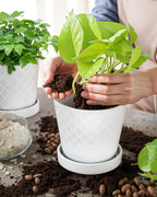 EFISPSS Flower Planter –5 inch Ceramic Plant Pots - Image 3