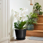 Ceramic Pots for Plants - Image 6