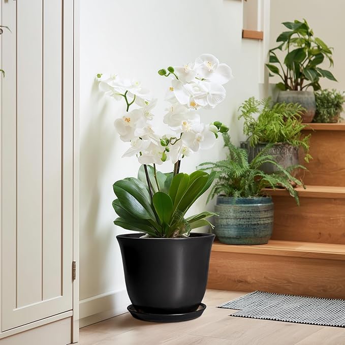 Ceramic Pots for Plants - Image 6