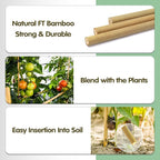 Bamboo Stakes, 4FT Natural Bamboo Garden Stakes, BOVITRO 25Pcs Plant Stakes - Image 2