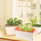 OurWarm Windowsill Herb Planter Box Indoor Set of 3, 10.5 Inch Self Watering - Image 6