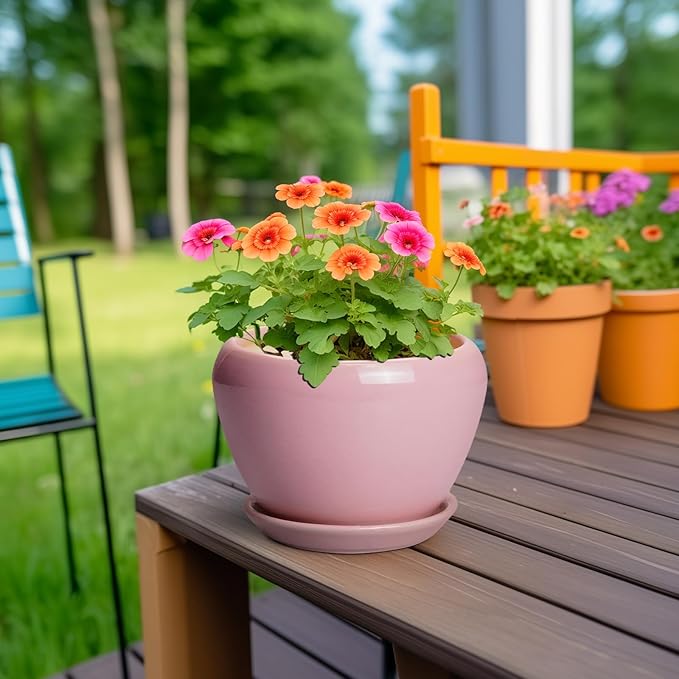 6 Inch Plant Pot - Image 4