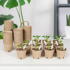 60 Packs 3.15 Inch Peat Pots, Biodegradable Pots - Image 7