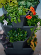 BUZZY Seeds Starter Stackable Vertical Planter – 4-Level Raised Garden Tower - Image 7